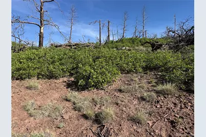 Lot 377 Powers Road, Fort Garland, CO 81133 - Photo 45