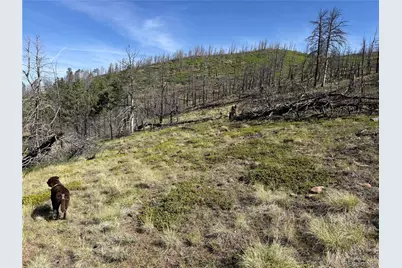 Lot 377 Powers Road, Fort Garland, CO 81133 - Photo 11