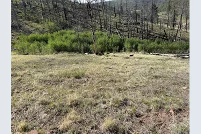 Lot 377 Powers Road, Fort Garland, CO 81133 - Photo 41