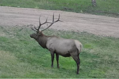 13116 S Noka Trail, Pine, CO 80470 - Photo 47