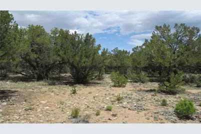 28922 Timber Ridge, Buena Vista, CO 81211 - Photo 29