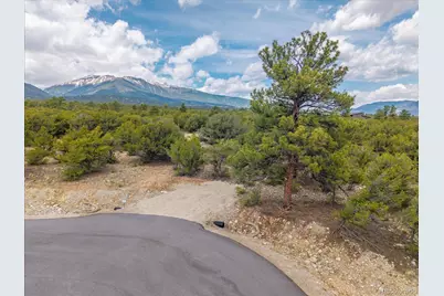 28922 Timber Ridge, Buena Vista, CO 81211 - Photo 11