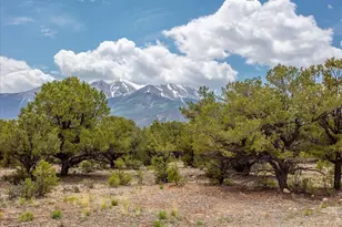 28922 Timber Rdg, Buena Vista, CO 81211 - Photo 1