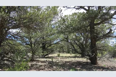 28922 Timber Ridge, Buena Vista, CO 81211 - Photo 39