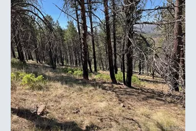 Lot 369-370 Powers Road, Fort Garland, CO 81133 - Photo 21