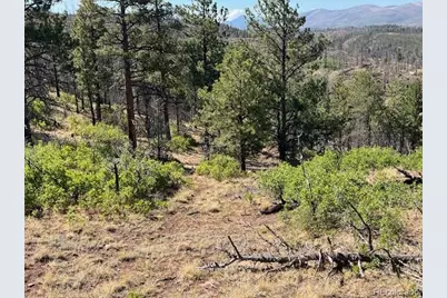 Lot 369-370 Powers Road, Fort Garland, CO 81133 - Photo 17