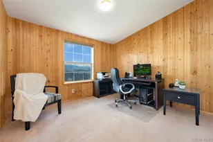 132 Singing Pnes Ct, Livermore, CO 80536 - Photo 29