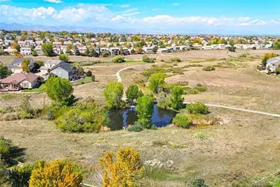 10673 Cedarcrest Circle, Highlands Ranch, CO 80130 - Photo 45