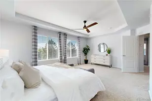 10673 Cedarcrest Cir, Highlands Ranch, CO 80130 - Photo 29