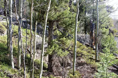 4-2 Lamertine Road, Idaho Springs, CO 80452 - Photo 11