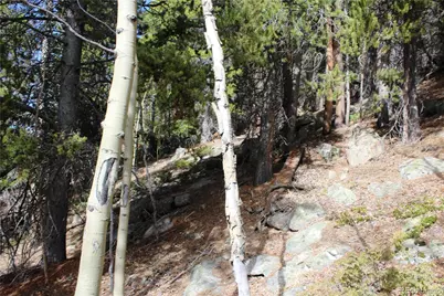 4-2 Lamertine Road, Idaho Springs, CO 80452 - Photo 15