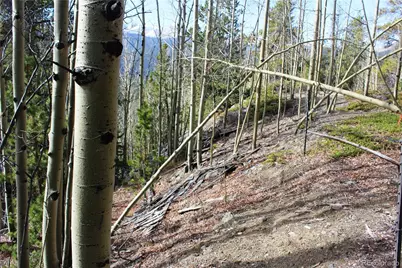 4-2 Lamertine Road, Idaho Springs, CO 80452 - Photo 5