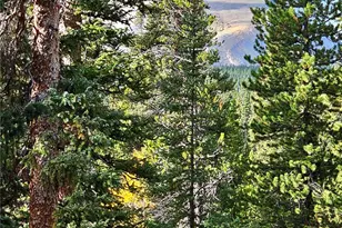 102 Gold Trail, Fairplay, CO 80440 - Photo 1