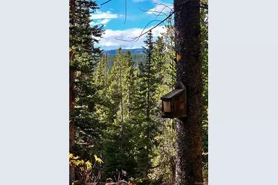 102 Gold Trail, Fairplay, CO 80440 - Photo 7