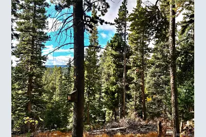 102 Gold Trail, Fairplay, CO 80440 - Photo 11