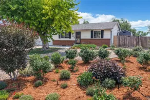 11410 Madison St, Denver, CO 80233 - Photo 25