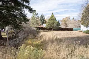 212 N Gunnison Ave, Buena Vista, CO 81211 - Photo 47