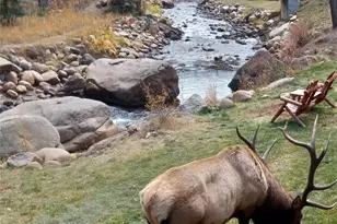 1400 David Dr, Estes Park, CO 80517 - Photo 43