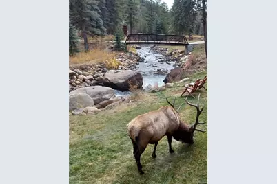 1400 David Drive #7, Estes Park, CO 80517 - Photo 35