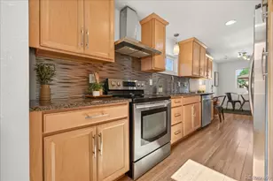 4814 Irving St, Denver, CO 80221 - Photo 11