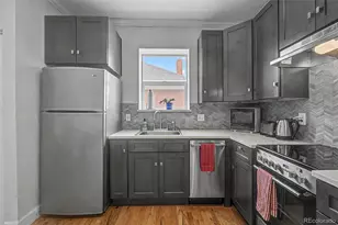 610 N Logan Street, Denver, CO 80203 - Photo 9