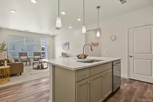16841 Askins Loop, Parker, CO 80134 - Photo 5