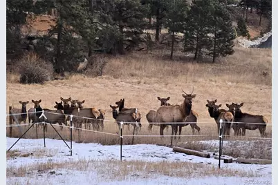 2565 Nova Road, Pine, CO 80470 - Photo 47