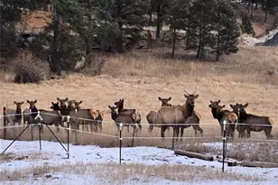 2565 Nova Rd, Pine, CO 80470 - Photo 47