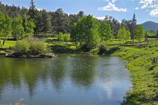 2565 Nova Rd, Pine, CO 80470 - Photo 45