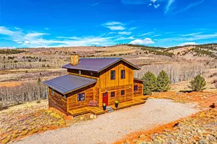 31 Buzzsaw Ln, Fairplay, CO 80440 - Photo 1