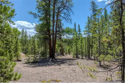 294 Peak View Drive, Twin Lakes, CO 80461 - Photo 3