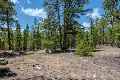 294 Peak View Drive, Twin Lakes, CO 80461 - Photo 5