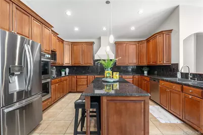 276 Ember Place, Castle Rock, CO 80104 - Photo 17