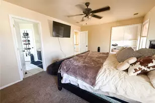 894 Durum St, Windsor, CO 80550 - Photo 15