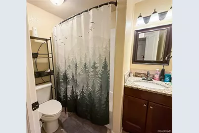 894 Durum Street, Windsor, CO 80550 - Photo 21