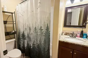 894 Durum St, Windsor, CO 80550 - Photo 21