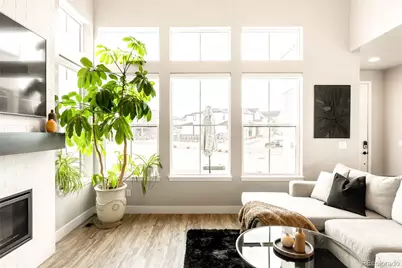 6250 Stable View Street, Castle Pines, CO 80108 - Photo 11