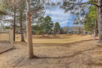 8258 S Fillmore Circle, Centennial, CO 80122 - Photo 29