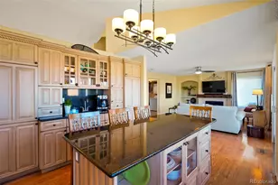 10038 Deer Creek St, Highlands Ranch, CO 80129 - Photo 11