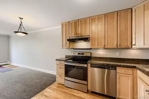 969 S Pearl St, Denver, CO 80209 - Photo 11