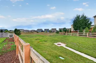 914 Charlton Dr, Windsor, CO 80550 - Photo 29