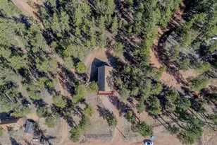 14891 Evergreen Pl, Woodland Park, CO 80863 - Photo 47