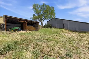 2445 Lake Gulch Rd, Castle Rock, CO 80104 - Photo 37
