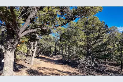 1888 6th Tri, Cotopaxi, CO 81223 - Photo 19