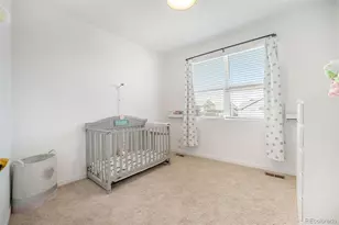 7889 Yampa River Ave, Littleton, CO 80125 - Photo 19