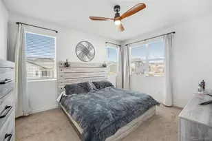 7889 Yampa River Ave, Littleton, CO 80125 - Photo 13