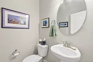 9777 Banner Peak St, Littleton, CO 80125 - Photo 21