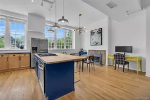 225 N Lincoln Street, Denver, CO 80203 - Photo 9