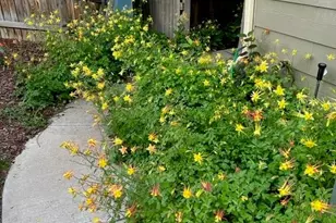 6731 E 128th Pl, Thornton, CO 80602 - Photo 25