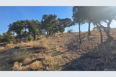 Lot 3859 Murray Road, Fort Garland, CO 81133 - Photo 9